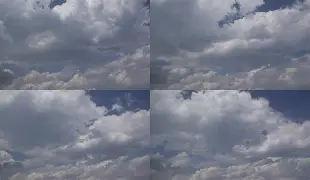 爱游戏手机版- 孟菲斯灰熊新主教练 